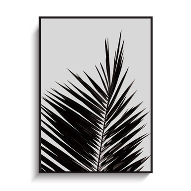 Coco Lapine - Palm Leaf (50x70 포스터)